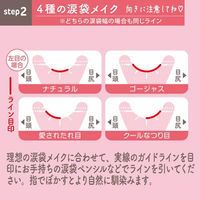 バイソン 秒速整形 なぞるだけ涙袋ガイド 4901525011310 1セット(1個×12)（直送品）