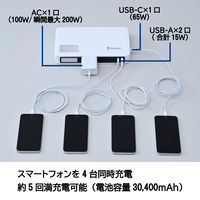 BigBlue フラットパワーステーションシステム ポータブル電源+34W ソーラーパネルセット CP110(PW) 1台