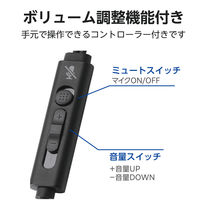 エレコム ヘッドセット 両耳カナル型有線 マイクアーム付き USBーA ブラック HSーEP21SUBK 1個（直送品）