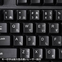 サンワサプライ 日本語109キーボード ブラック SKB-109PBK 1台（わけあり品）