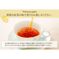 フェリステ Lakshimi ラクシュミー 極上はちみつ紅茶 1箱（25バッグ入）（わけあり品）