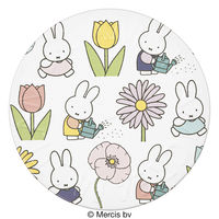 数量限定 STEAMCREAM（スチームクリーム）ミッフィーとフラワーガーデン 75g ソノタス