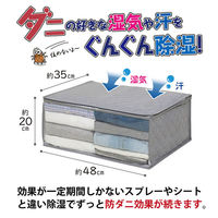 アストロ ドライ&ドライ吸湿防ダニ衣類収納袋 グレー 616-38 1セット(1個×10)（直送品）