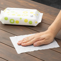 ウェットティッシュ ノンアルコール オリジナルパウチウェットティッシュ ノンアルコール除菌 本体 1セット（100枚入×20）レック オリジナル