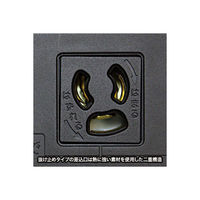 サンワサプライ 19インチサーバーラック用コンセント(20A) TAP-SVSL206 1個（わけあり品）