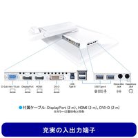 EIZO FlexScan 液晶モニター 24.1インチ EV2410RーBK 画面回転機能、上下昇降機能 1台