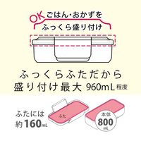 岩崎工業 イージーケアランチボックススリム1段800ml パッキン一体型 お弁当箱 Bー1492 ライトグレー 1個