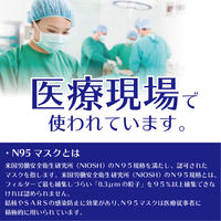 サージマスク N-95（折りたたみ式）M 1箱（50枚入） 竹虎