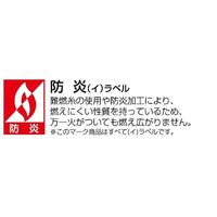 川島織物セルコン ウォッシャブル 防炎 遮熱既製レースカーテン 100×103cm DC1005S_31C_1P 1枚
