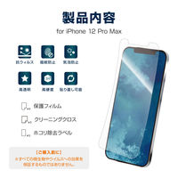 iPhone 12 Pro Max 液晶保護フィルム 高透明・Hydro Ag+(抗菌)・高硬度3H（直送品）