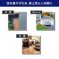 朝日電器 ダミーカメラ 筒型 DC-001 1個