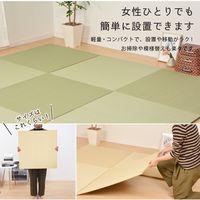 萩原 水拭きできる すき間ができにくい い草風 小型置き畳 幅650×奥行650×高さ15mm グリーン 159055211 1枚（直送品）
