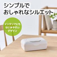 ウェットティッシュ 除菌シート 大王製紙 エリエール 除菌できるアルコールタオル ボックス本体42枚  1個（42枚入）×12個