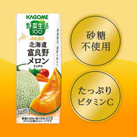 カゴメ 野菜生活100 本日の逸品 北海道富良野メロンミックス 195ml 1セット（48本）