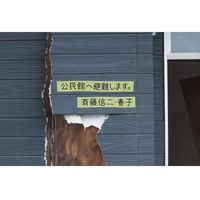 ニチバン 日本製　フィルムクロステープライト　養生用　グリーン（緑）　50mm×25ｍ 187-50 3巻