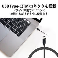 PCマイク ピンマイク クリップマイク USB Type-C接続 収納ポーチ 1.8m HS-MC09CBK 1個 エレコム
