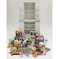 【軒先渡し】フナモコ キッチンストッカー 幅605×奥行445×高さ1800mm エリーゼアッシュ SSA-607 1台（直送品）