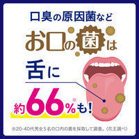 歯磨き粉 ピュオーラ 泡ハミガキ フレッシュミントの香味 つめかえ 100mL 花王