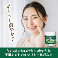 ガム 大容量 キシリトールガム ロングミント オリジナルミント ファミリーボトル 133g 1セット（1個×6）