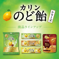 のど飴 キャンディ カリンのど飴 贅沢マヌカハニー ミニパウチ 25g 1セット（1個×24）