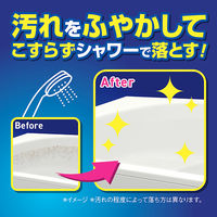 ルックプラス バスタブクレンジングHARD洗浄 本体 500mL 1個 ライオン