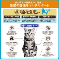 i CARE（アイケア）腸内環境ケア 成猫用 チキン味 国産 400g 1袋 アイシア キャットフード