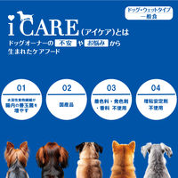 i CARE（アイケア）関節ケア ささみ とろみタイプ 国産 40g 6袋 アイシア ドッグフード ウェット パウチ