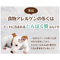 メディコートアドバンス アレルゲンカット 魚 ペーストタイプ まぐろ・かつお 国産 40g 6袋 ペットライン ドッグフード ウェット パウチ