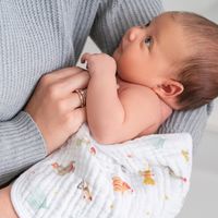 aden + anais　エイデンアンドアネイ ウォッシュクロス エレファントサーカス 1セット（3枚入）ダッドウェイ