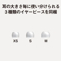 パナソニック ステレオインサイドホン マイク付きUSB TypeーC RPーHJE150CーW 1個