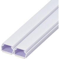 オーム電機 テープ付ABSモール 1号 60cm ホワイト 2本入 09-1000 1セット(2本入)（直送品）