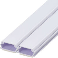 オーム電機 テープ付ABSモール 2号 60cm ホワイト 2本入 09-1002 1セット(2本入)（直送品）