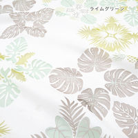 トモ・コーポレーション レースカーテン ラウキルト モンステラ柄 約105×178cm ライムグリーン 413145 1個（直送品）