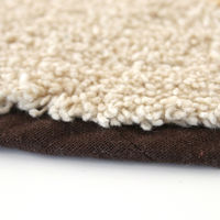 トモ・コーポレーション 玄関マット 41×48cm 室内 ねこ フェイス スナネコ 428158 1個（直送品）