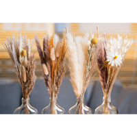 アンファンス ドライフラワー スキットル ガラスベース付き C 452291 1個（直送品）