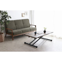 【軒先渡し】東馬 KRM 昇降テーブル 幅1200×奥行600×高さ240mm ブラウン 54686110 1台（直送品）