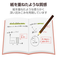 エレコム iPad mini (A17 Pro) フィルム 文字用 アンチグレア TB-A25SFLAPNS 1個