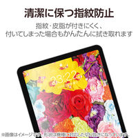エレコム 11インチ iPad Pro(M4) フィルム アンチグレア 抗菌 高精細 TB-A25PMFLFAHD 1個