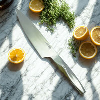 アントレックス シェフナイフ 牛刀 190mm 4992831608035 1個（直送品）