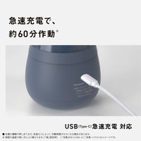 パナソニック 毛玉クリーナー NI-LC300-C 1台