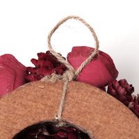 クリスマス　ドライリース(18cm) レッド LAKOLE/ラコレ