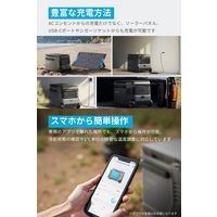 Anker Solix EverFrost 2 40L Electric Cooler A17A45A1 1個