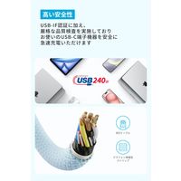 Anker Zolo USBーC & ケーブル(240W高耐久ナイロン)1.8m A8060112 1本
