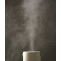 BRUNO 2L超音波加湿器 SLIM MIST（チャコールグレー） BOE133ーCGY 1個