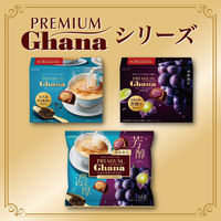 チョコレート プレミアムガーナ　ショコラセレクション　113g 1セット（1個×3）