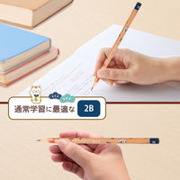 プラス 鉛筆 えんぴつ 2B 5角 （五角） 限定 受験生応援 41089 1セット（2本入）