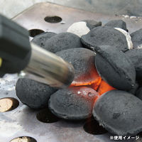 平城商事 エコロン炭(タン)2kg ECOLONGTAN 307143 1袋（直送品）