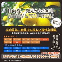日向夏ドレッシング295ml 1本 ミツイシ 柑橘 フルーツ  サラダ カルパッチョ 唐揚げ ソース 宮崎 人気