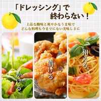 日向夏ドレッシング295ml 1セット（1本×3） ミツイシ 柑橘 フルーツ  サラダ カルパッチョ 唐揚げ ソース 宮崎 人気