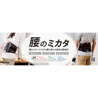 ALINCO(アルインコ) ボディーケア サポーター ウエストガードベルト L EXG301L 1個（直送品）